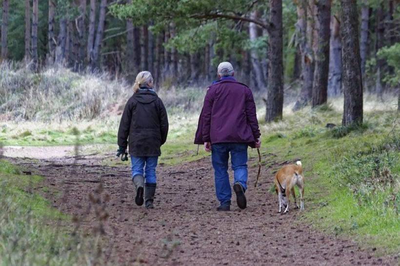 Dog Walking G7C0Dfa8D4 640